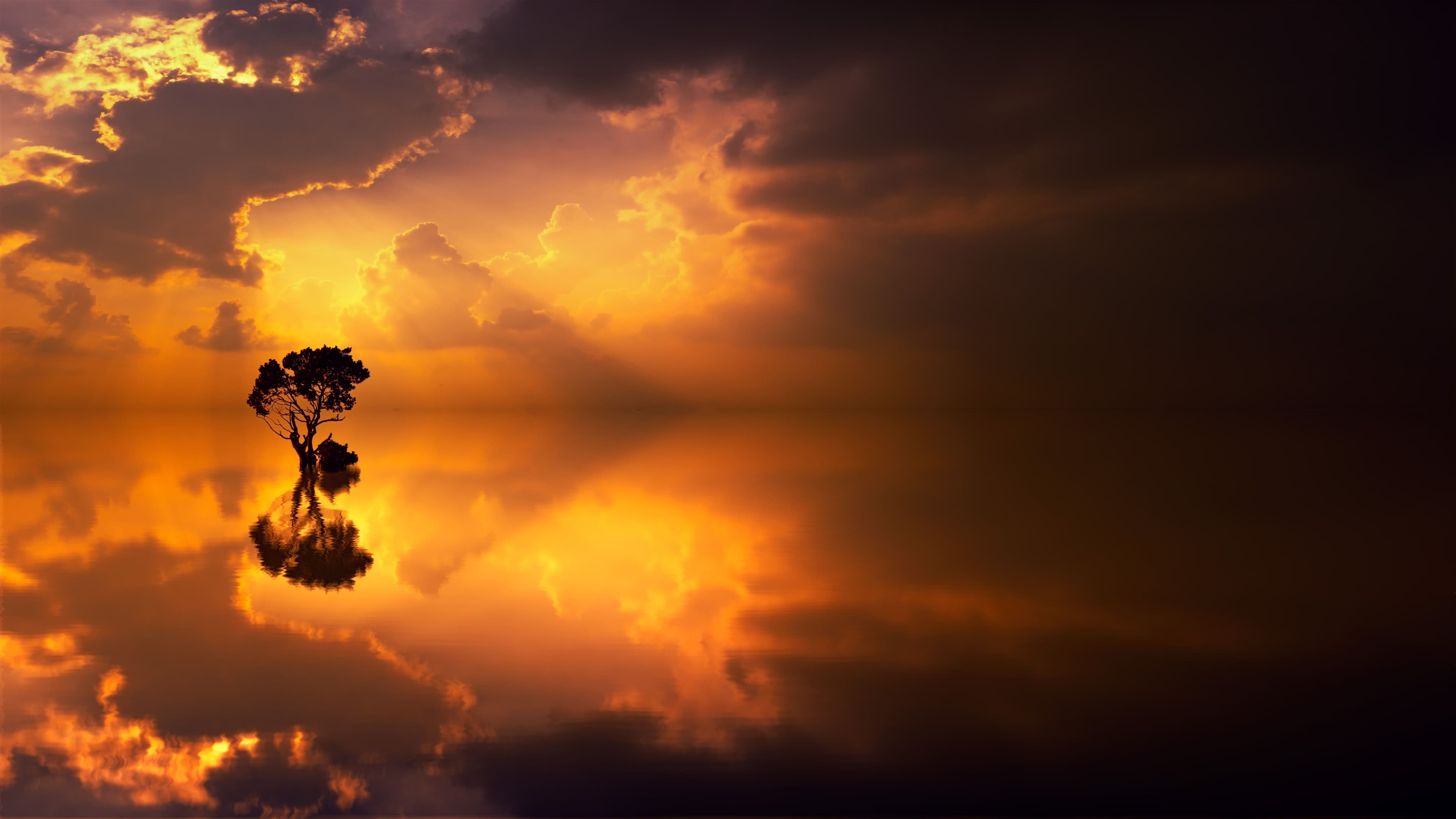 Project Beta